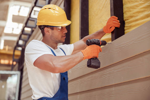 Affordable Siding Repair and Maintenance Services in Winchester, VA